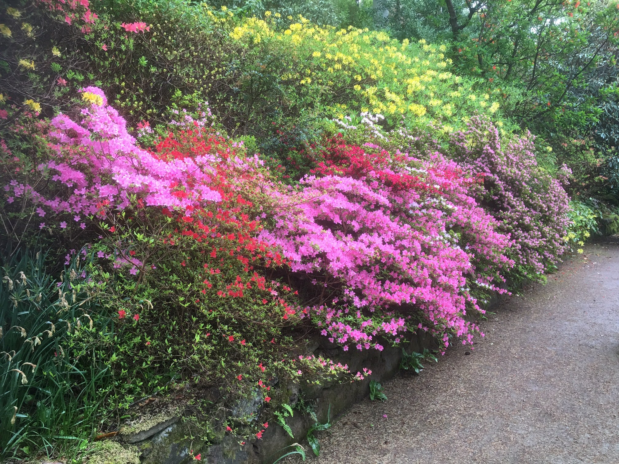 Highland and Island Gardens Cruise Log