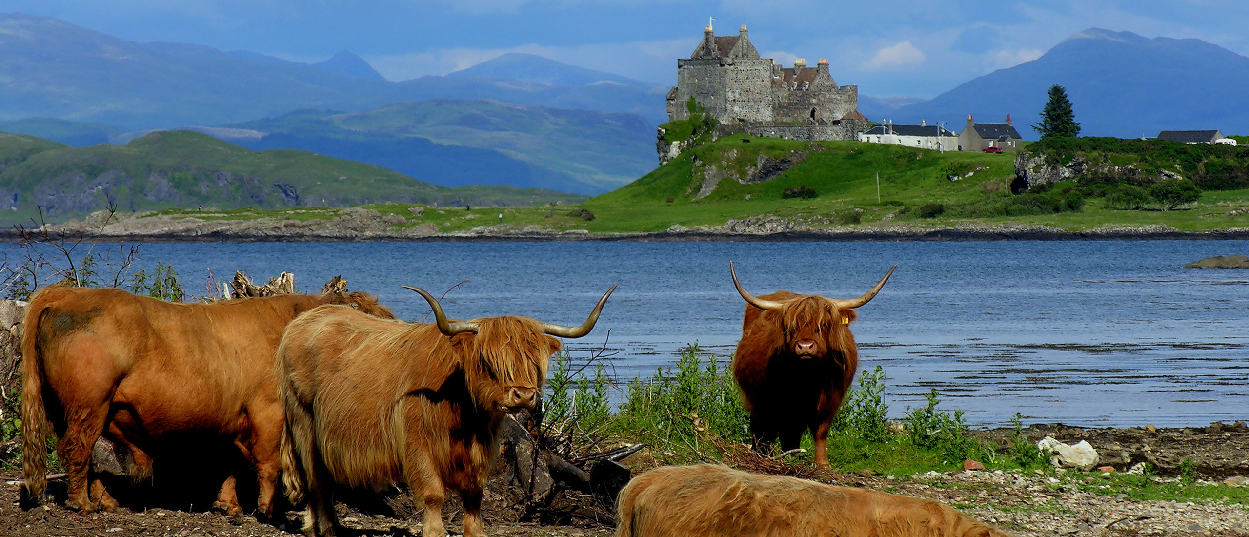 Luxury Scottish Culinary Cruise Hebridean Island Cruises