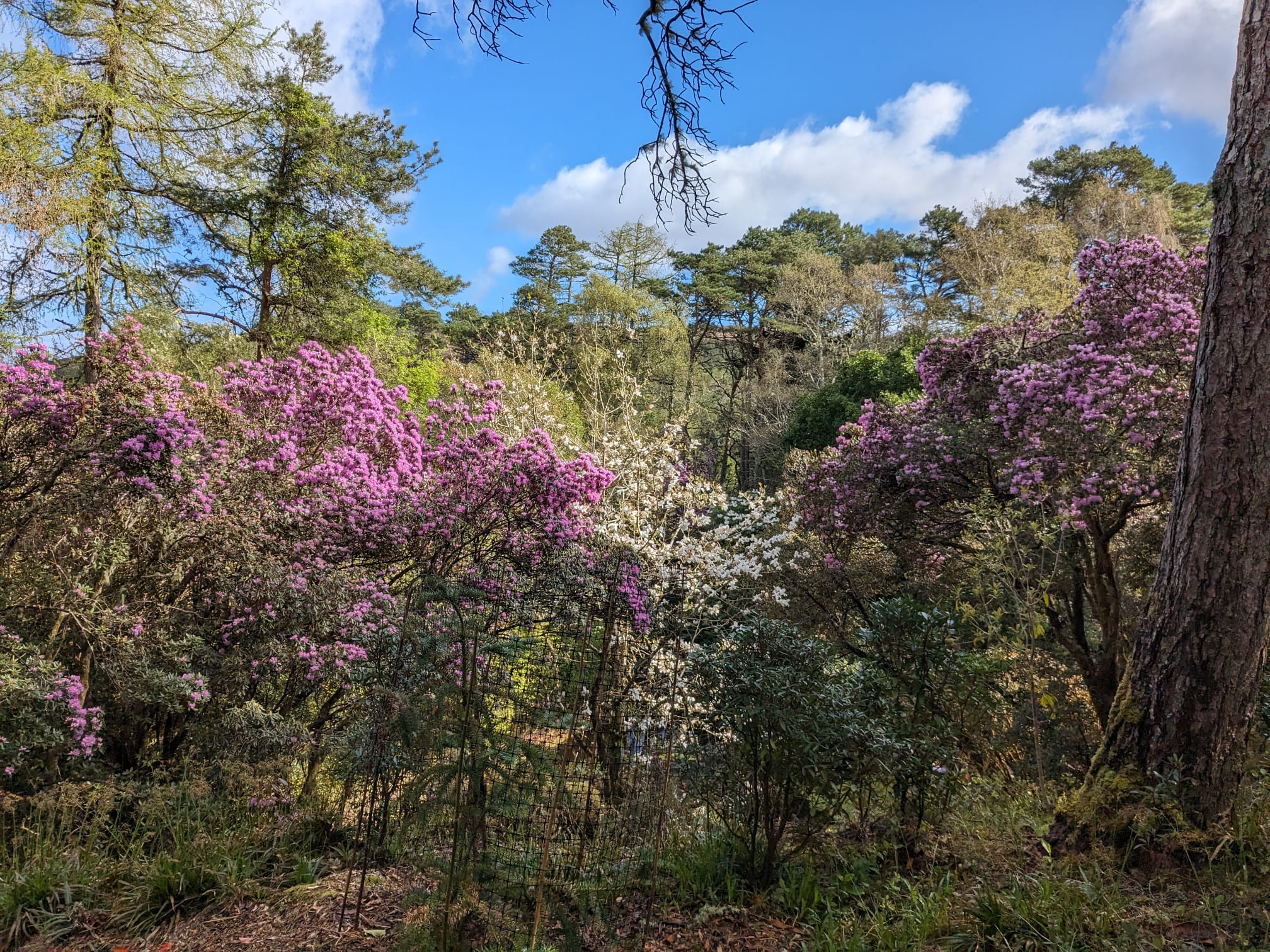 Secrets of the Scenic North West Cruise Log